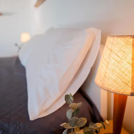 Apartment Delfina Mansarda