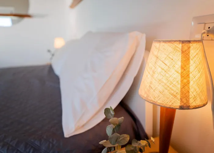 Apartment Delfina Mansarda